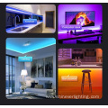 5050 RGB LED SMD Waterproof Flexible Light Strips